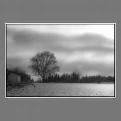 D_Sotirelis parousiasi 16-12-2020 (2)