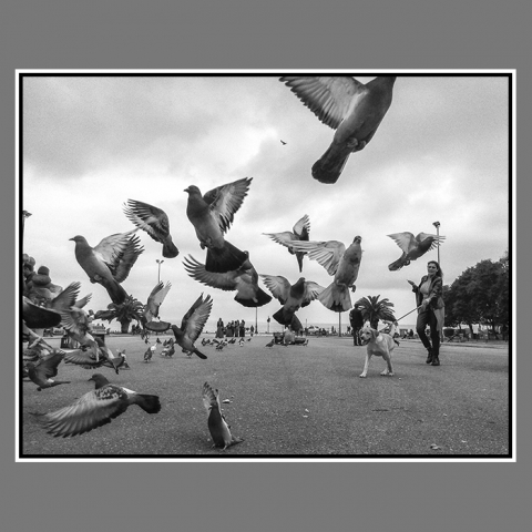 kyrou b&w digital 25