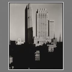 Stieglitz_12