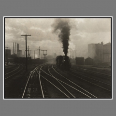 Stieglitz_5