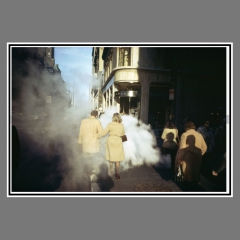Meyerowitz-1