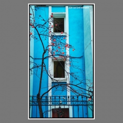 Chatzigiannaki-month-ph-Ian-2022-1-1