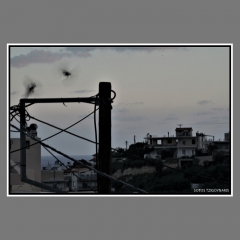 Tzigounakis-mph-mar-2021-1