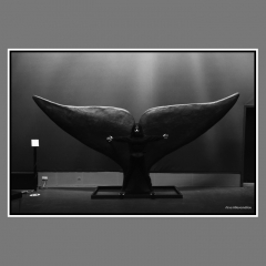 Athanasiadou-mnthph-sep-2022-1