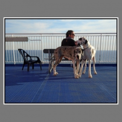 Chatzidimitriadis-mnth-photo-ioun-2022-2