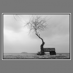 sotirelis-mnth-photo-feb-2023-3