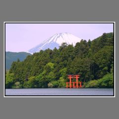 untitled-31